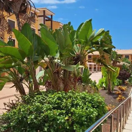 Appartement Mocan Wam Palm-mar