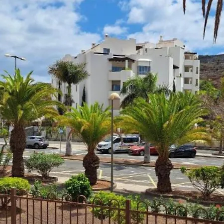 Mocan Wam Palm-mar