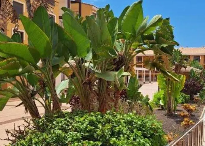 Apartman Mocan Wam Palm-mar