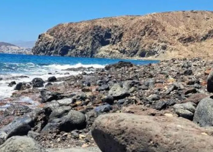 Mocan Wam * Palm-mar